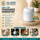White mini USB fragrance humidifier with cool mist spray and blue LED light ring on a wooden display stand